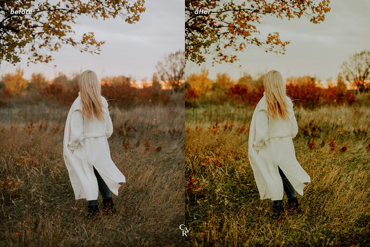 10 Deep Green Lightroom Presets, a Preset Add-On by CVR Presets (Photo 7 of 7)