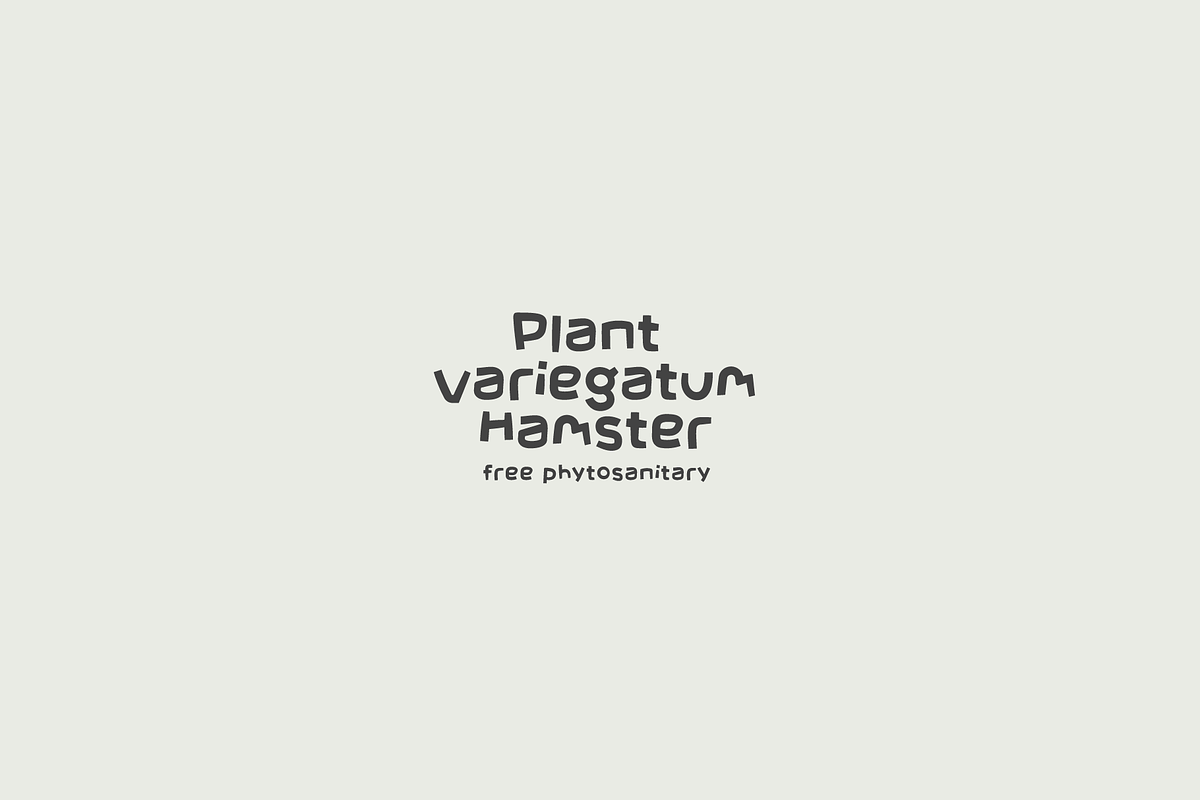 Eva Poshy Font, a Handwritten Font by baqoos (Photo 5 of 10)