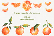 Watercolor Orange Fruit Clipart, a Food Illustration by Dina Guiter (Thumbnail 2 of 10)
