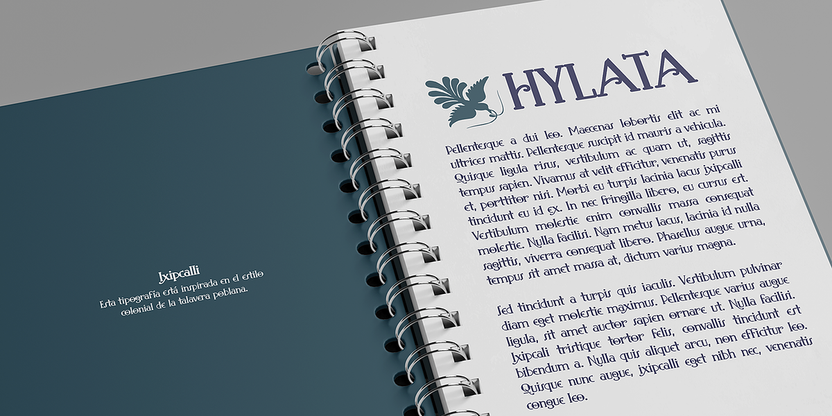Hylata, a Serif Font by Ixipcalli (Photo 3 of 5)