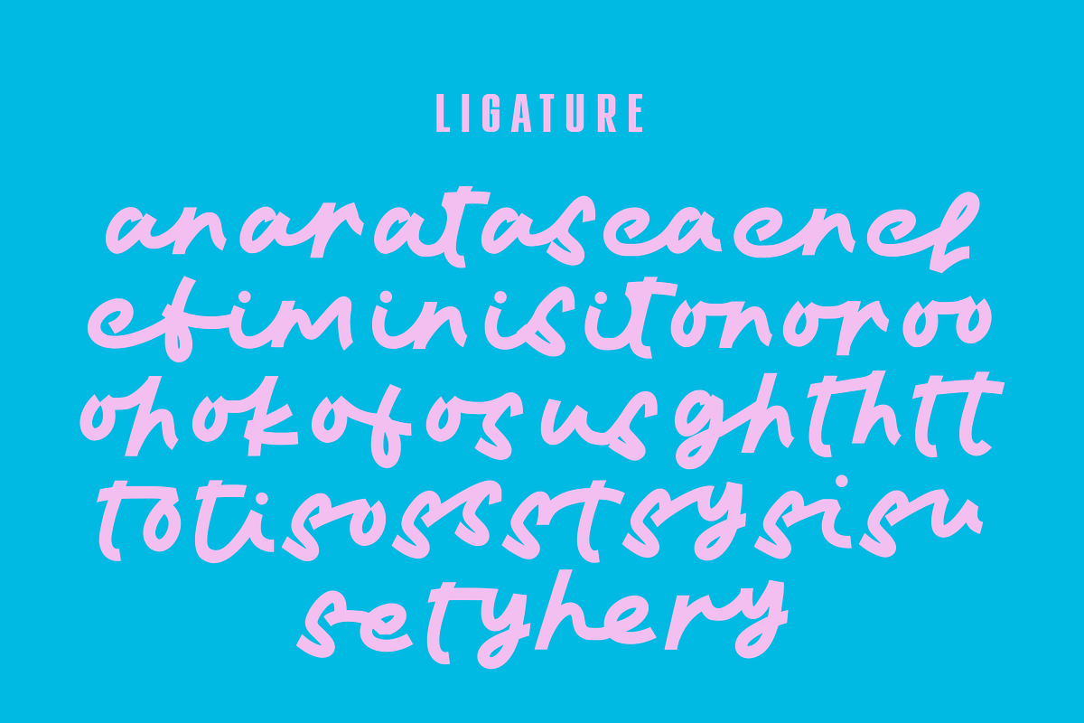Nansi, a Script Font by ethylene.creative (Photo 5 of 9)