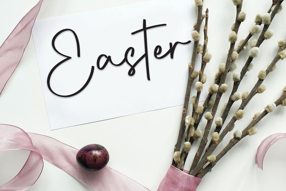 Hailey | Script Font, a Handwritten Font by Scratchones (Photo 4 of 9)