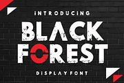 Black Forest - Grunge Font, a Blackletter Font by Fourteen Letter (Thumbnail 1 of 7)