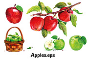 Fruits and berries collection_part 1, an Illustration by ZotovShop (Thumbnail 2 of 20)