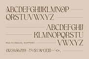 Aesthetic - Modern Display Serif, a Serif Font by Nirmana Visual (Thumbnail 4 of 7)