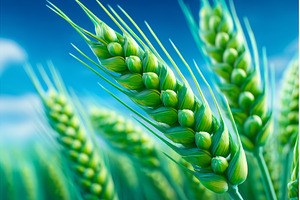 Heating and biofuel production are, an Industrial Photo by ZinetroN