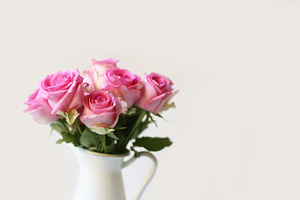 Pink Roses in White Pitcher