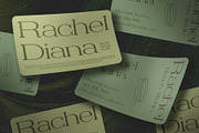 Denvile Vintage, a Serif Font by Craft Supply Co. (Thumbnail 8 of 8)
