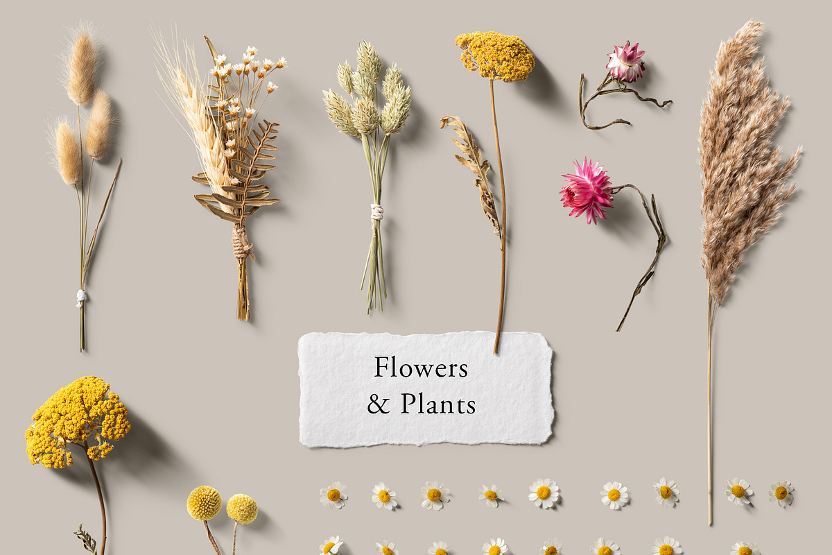 NEW Wedding Moodboard Scene Creator, a Product Mockup by Ruby&Heart Collective (Photo 13 of 18)