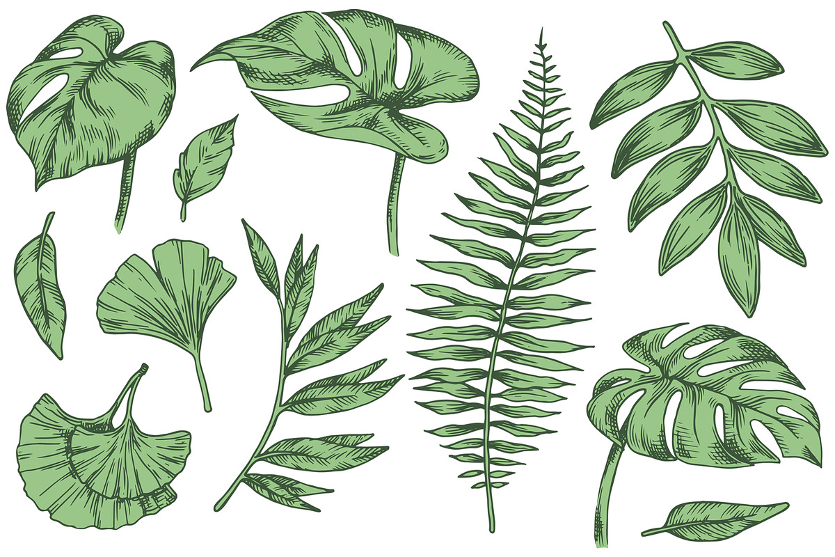 Tropical leaves.  Sketch style, a Seasonal Illustration by made by Tanya (Photo 3 of 4)