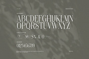 Fankong Minimalist Serif Font, a Serif Font by Perfectype (Thumbnail 7 of 8)
