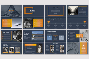 Molex - Google Slides Template