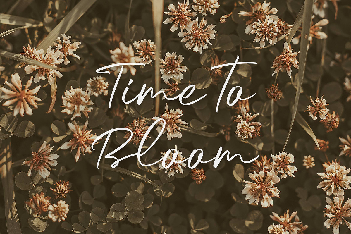 Sunday Rain - Script, a Script Font by Krakenbox Studio (Photo 6 of 14)