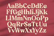 Regina Bonita Modern Retro Serif, a Serif Font by timelesstype.co (Thumbnail 13 of 20)