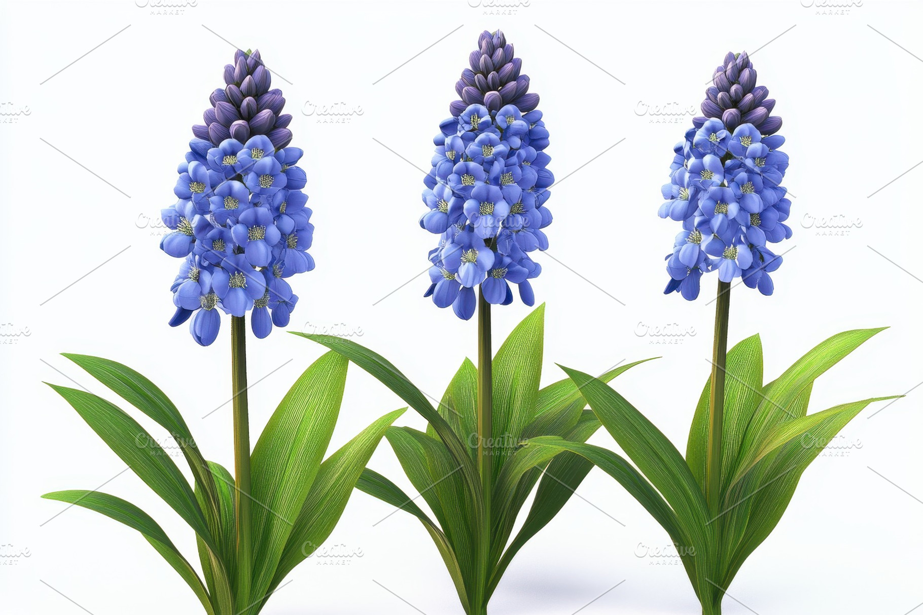 Vibrant blue flowers with green leav, a Photo by Tanuart