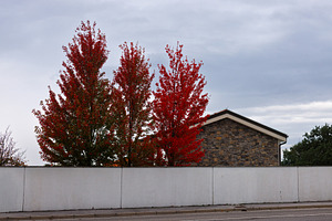 Colorful trees behind house wall on clouds sky, a Nature Photo by Bepslabor