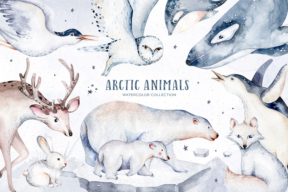 Arctic cute animals.  Watercolor set, an Animal Illustration by Peace ART (Photo 1 of 22)