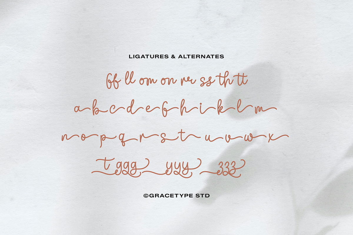 Grambell Saturn | Monoline Script, a Script Font by gracetype_studio (Photo 12 of 12)