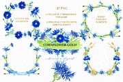Cornflower gold. Watercolor clipart., an Illustration by LABFcreations (Thumbnail 1 of 4)