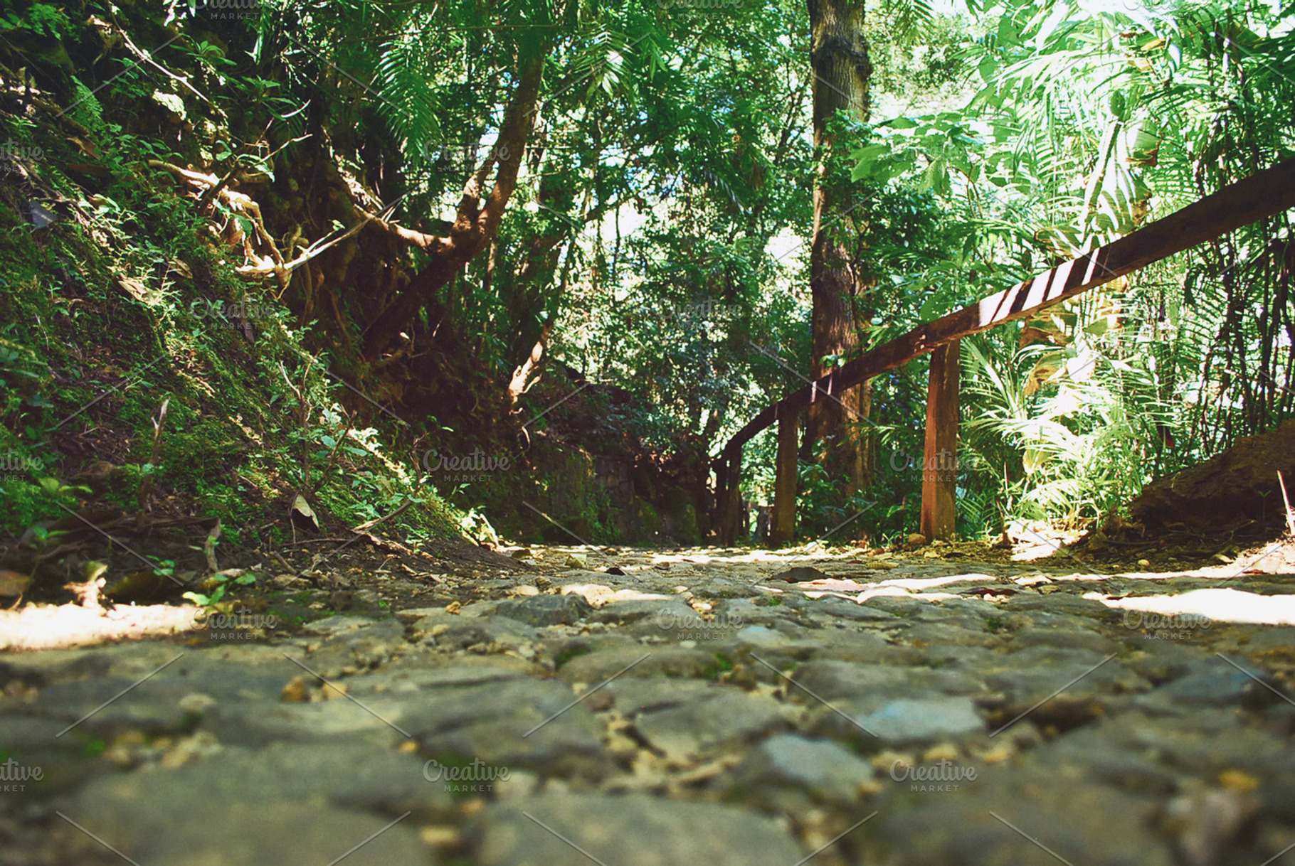 Stone Path Featuring Wood Trees And Grass