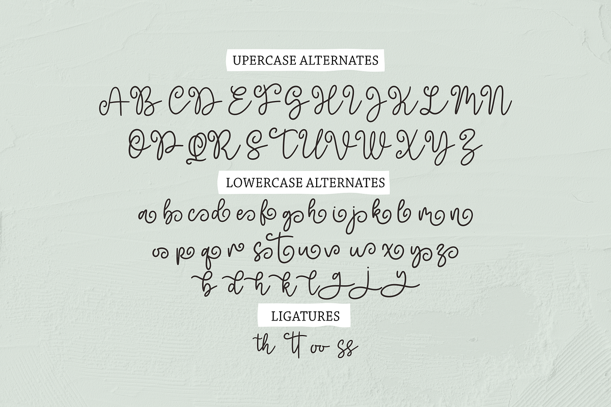 Brotusse | Handwritten Font, a Script Font by Forberas Club (Photo 7 of 9)