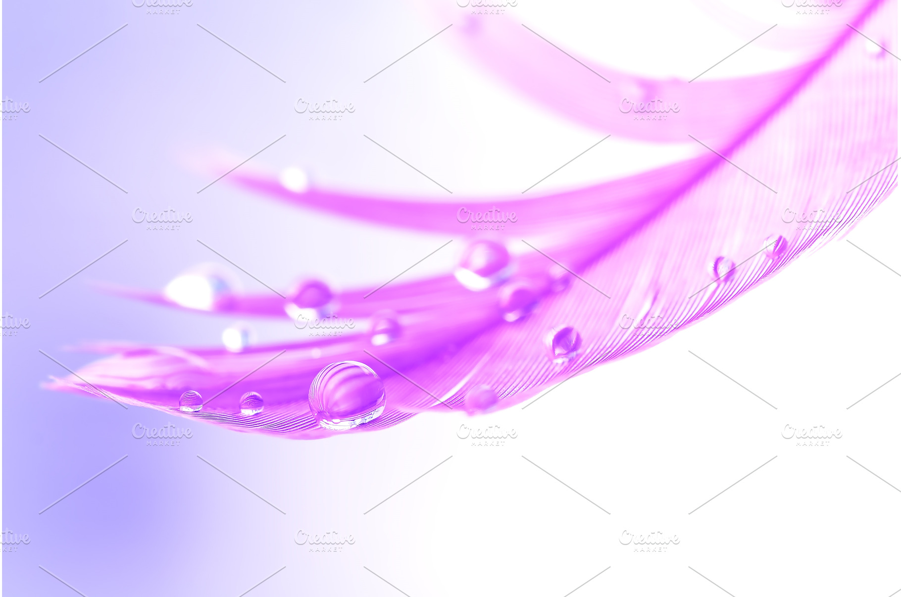 Close-up water drops on a purple, an Arts & Entertainment Photo by Yulia71