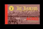 Backtimes - Vintage Display Font, a Font by Hanstype.com (Thumbnail 6 of 9)