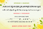 Quirky Lemon - Playful Script Font, a Script Font by AnningArts (Thumbnail 5 of 5)