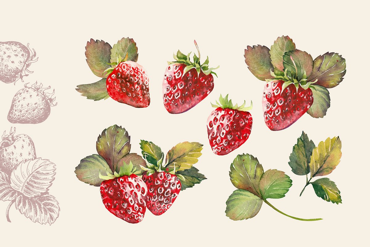 Berries, a Food Illustration by Jeanna Draw (Photo 6 of 12)