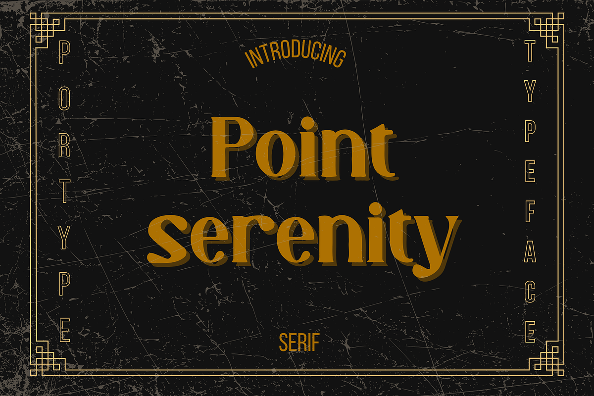 Point Serenity, a Serif Font by portype (Photo 1 of 11)