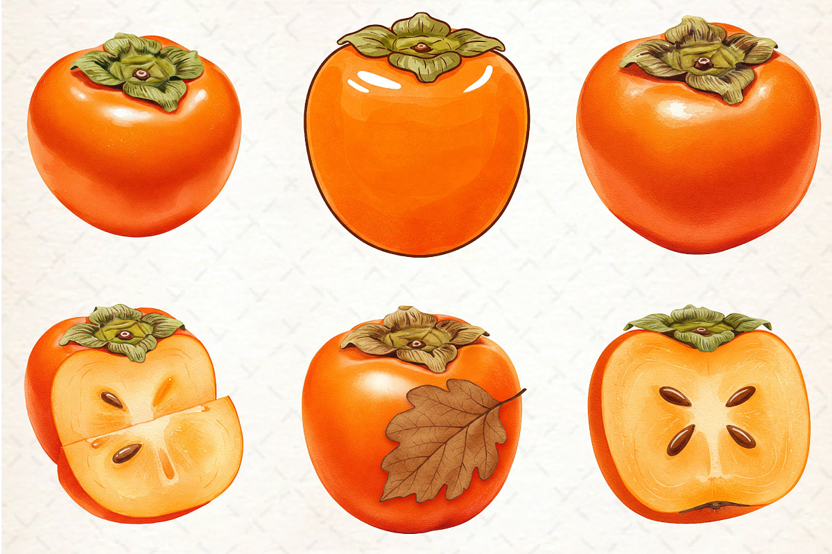 Watercolor Persimmon Fruit Clipart, an Illustration by Libby Wishes (Photo 3 of 5)