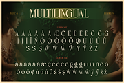 Bravibe, a Serif Font by Burntilldead (Thumbnail 10 of 11)