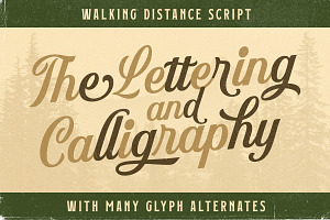 Walking Distance Crafted Font Duo