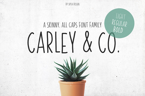 Skinny Font family Carley & Co. preview 7