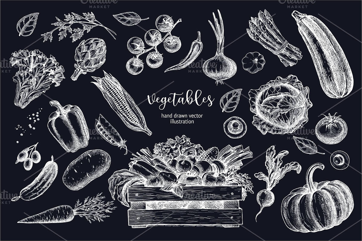 Vegetables. Hand drawn collection., a Food Illustration by natadanko (Photo 6 of 7)