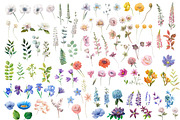 Watercolor summer wild flowers., an Illustration by yulia.sukhanova (Thumbnail 2 of 4)