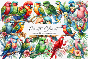 Watercolor  Parrots Clipart, an Illustration by Designworld
