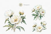 White Peony Watercolor, a Decorative Illustration by ThaismotaCreativeCo (Thumbnail 4 of 10)