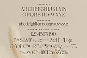 Aurora Magnollia Font Duo, a Serif Font by Storytype Studio (Thumbnail 11 of 15)