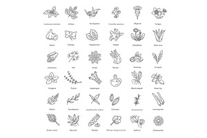 Condiment and herbs icons set, a Food Illustration by Tettygreen