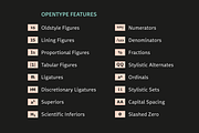 Stena, a Sans Serif Font by LetterPalette (Thumbnail 6 of 6)
