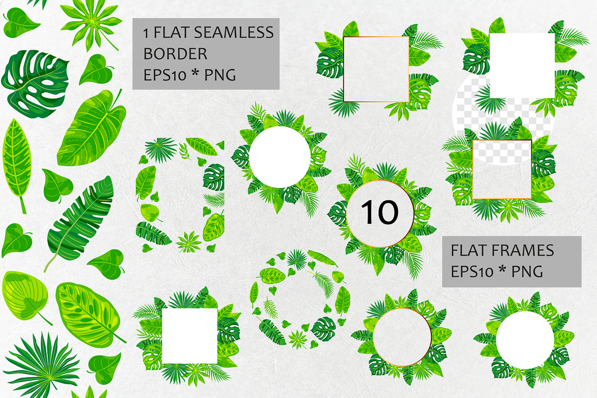 Vector tropical leaves, an Object Graphic by VaraNa Art (Photo 6 of 13)