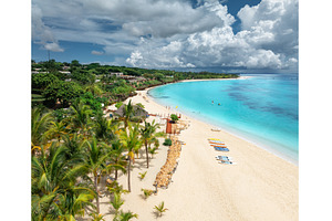 Aerial view of sandy beach, palm, a Nature Photo by den-belitsky