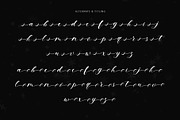 Christmas Twinkle, a Handwritten Font by Letterara (Thumbnail 9 of 11)