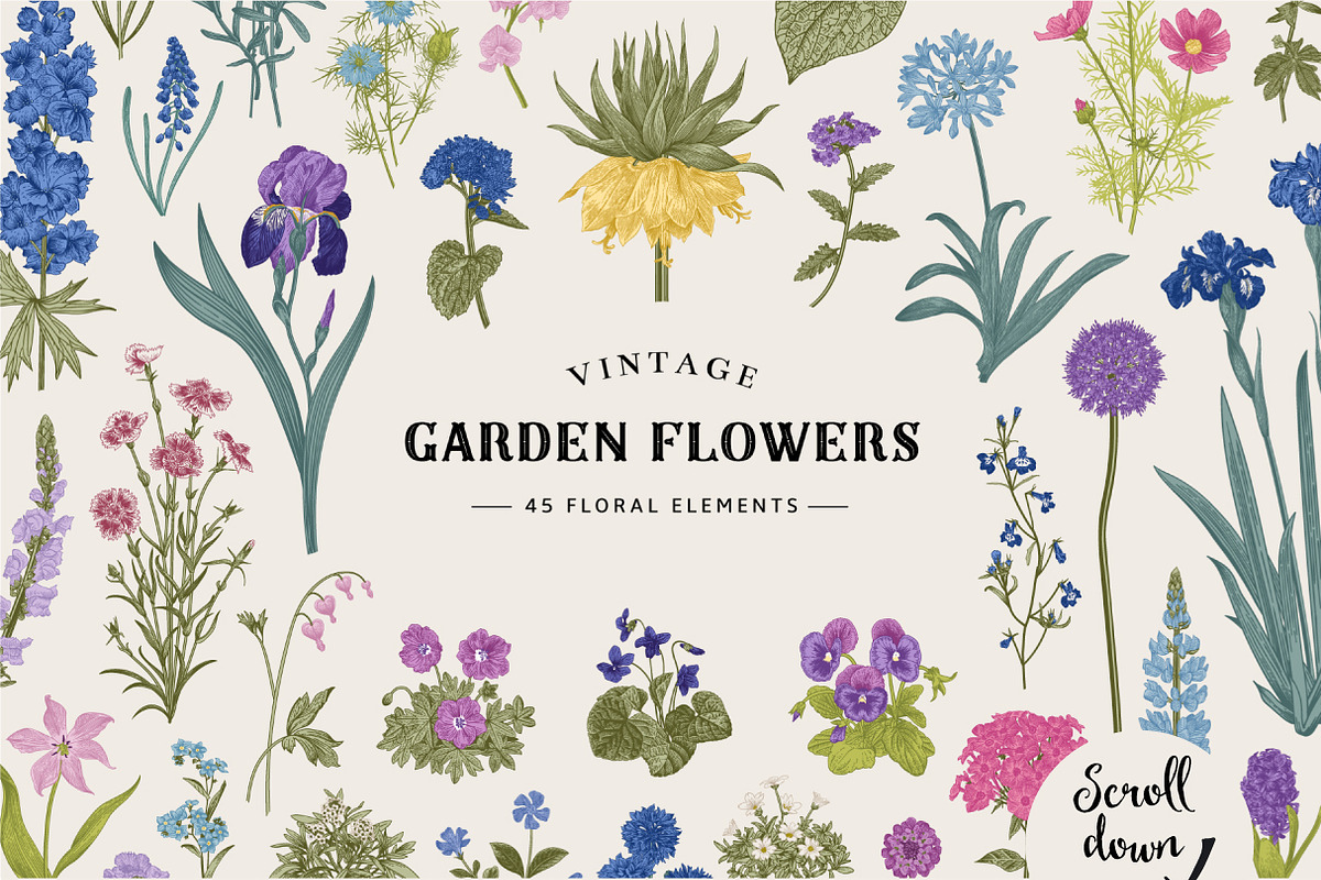 Garden flowers. Colorful, an Illustration by olga.korneeva (Photo 5 of 5)