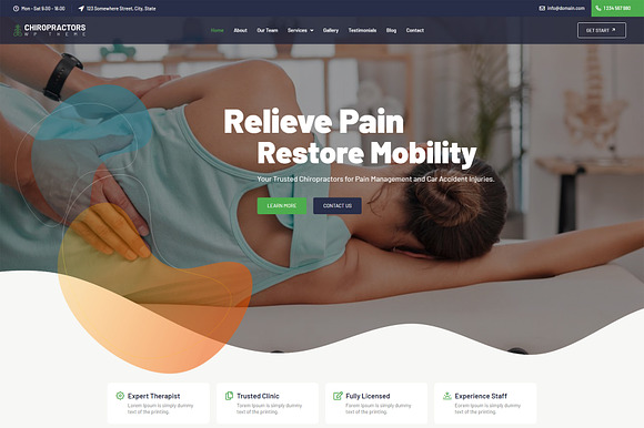 Chiropractors WordPress Theme preview 8