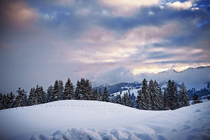 Winter stock photo