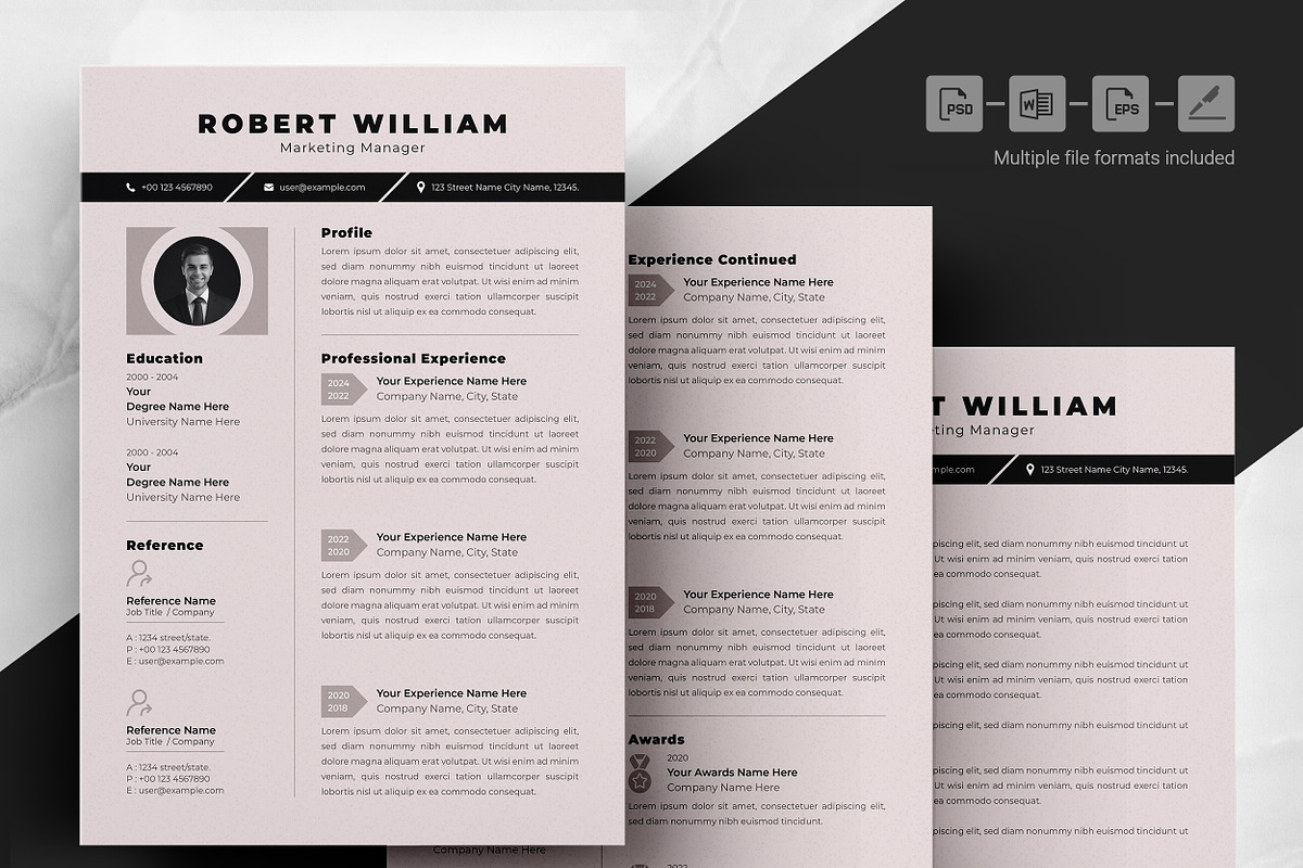 Neutral Toned CV Template preview 4