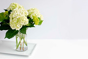 Hydrangea Styled Stock, a Business Photo by Pixels & Design (Thumbnail 2 of 2)