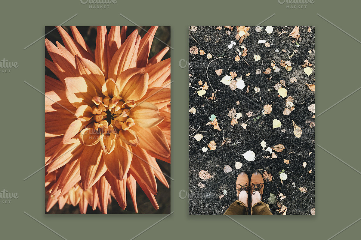Fall Colors Collection, a Nature Photo by Floral Deco (Photo 4 of 5)
